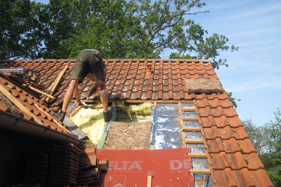 Marderschaden beseitigen durch Dachdeckerei Hertwich